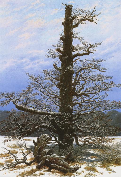 Caspar David Friedrich Oak Tree in the Snow (mk10) Sweden oil painting art